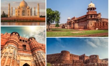 Taj Mahal and Agra Fort Full-Day Private Tour