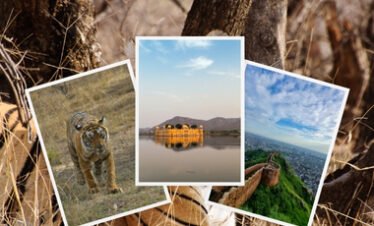 Jaipur to Ranthambore Wildlife Tour